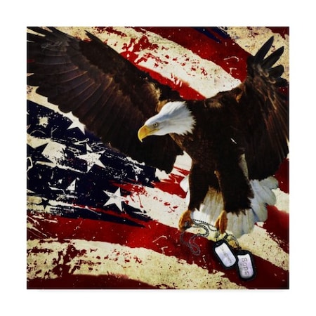 Jason Bullard 'The Cost Of Freedom' Canvas Art,24x24